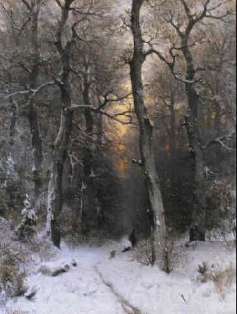 unknow artist Sunset in the Forest France oil painting art